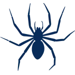 Dedetização de aranhas de jardim, eliminar aranha marrom, controle de aracnídeos.