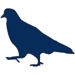 Como espantar pombos, barreiras para pombos, limpeza de fezes de aves.